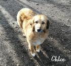 CHLOE