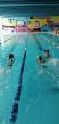 IMG-20cf9cf60118de24a54fabdb3c81cf82-V