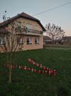IMG_20201117_161921