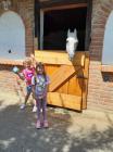 Viber_slika_2024-06-10_17-00-54-653