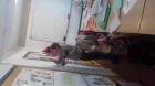 20180216_110933 (Small)