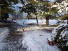 20180213_082204 (Small)