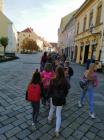 IMG-1249