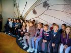 IMG-1251