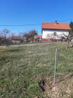 IMG-20210303-WA0006