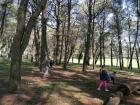 IMG-7de02761b6e12d61b3fce48a3286e33a-V