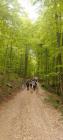 IMG-C018791be50fa6bd6db1c721b9f389b8-V