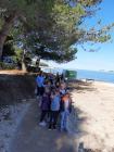 IMG-Cdf8ab77b581a92b35451e24d9f821ed-V