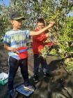 IMG-050ca96f82b1beea21629c3e0d0a99a1-V