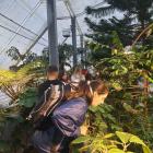 IMG-A61728e3d550efe71bcc57bc38c4ba65-V