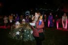 Tar-Advent-(14)