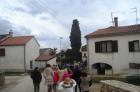 DSC00428