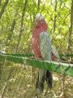IMG-17d81d01b72f4adcdd85ff67c754b4-V