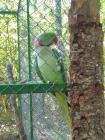 IMG-18b4f715782fb8f56d29d0ea9529d81d-V