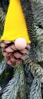 IMG-9c6c15d56f1804e2357bbb3f32fd0344-V