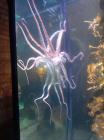 IMG-2d7b8d3e31618b03a3f8cd6555b88833-V