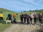 IMG-8b1ccf8aaf33f19c3ebf37ac7ed14abc-V
