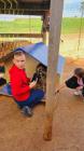 IMG-Beff3174daedecf3a33da0a24c3424ca-V