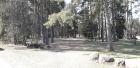 Park U kolskom Dvoritu