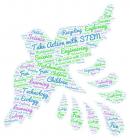 TAWS WORD ART