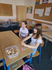 51_radionice_dan_skole