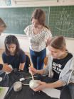 Erasmus_seeds_of_europe (27)