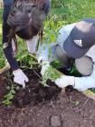 SCOOLfood Vrt (13)