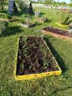 SCOOLfood Vrt (2)