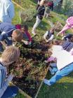 SCOOLfood Vrt (3)