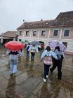 Promoting Good Environmental Protection Practices (23)