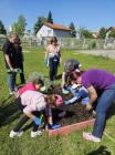 Erasmus  Projekt To Bee Or Not To Bee  Development Of Ecological Competeces (8)