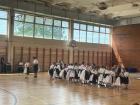 Dan_plesa_ (6)