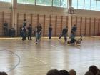Dan_plesa_ (8)