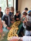 Posjet Festivalu KnjiEvnosti I Zvucnog Eksperimenta (9)