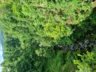 Izlet Ucenika 5 Razreda U Ogulin I Karlovac (2)