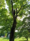Avanturisticki_izlet_na_rijeku_Dravu (04)