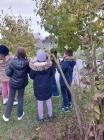 Tune_the_nature_etwinning (07)