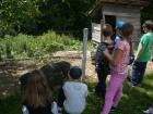 Izlet U Veliki Tabor
