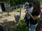 Izlet U Veliki Tabor