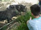 Izlet U Veliki Tabor