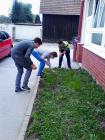 Projekt afran
