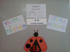 Veer Matematike U 3.B