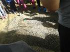 Izvjee S Terenske Nastave U Slugovine 