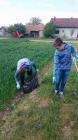 Forumai I GLOBEovci U Akciji „BOLJE - VIE - IE“