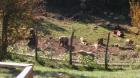Izvjee S Dvodnevnog Izleta Planinarske Sekcije „evo“ Na Velebit – Jablanac