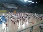 Dan Univerzalne Sportske kole