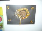 2. B Razred 2010_2011 - Suzana Kuar