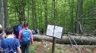 Izvjesc S Planinarskog Izleta Na Ucku (10)