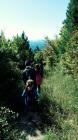 Izvjesce S Planinarskog Izleta Na Ravnu Goru - Trakoscan (11)