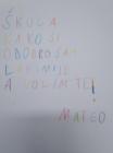4b (11)